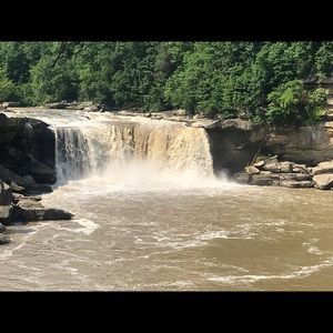 Meet your Posher, Priscilla